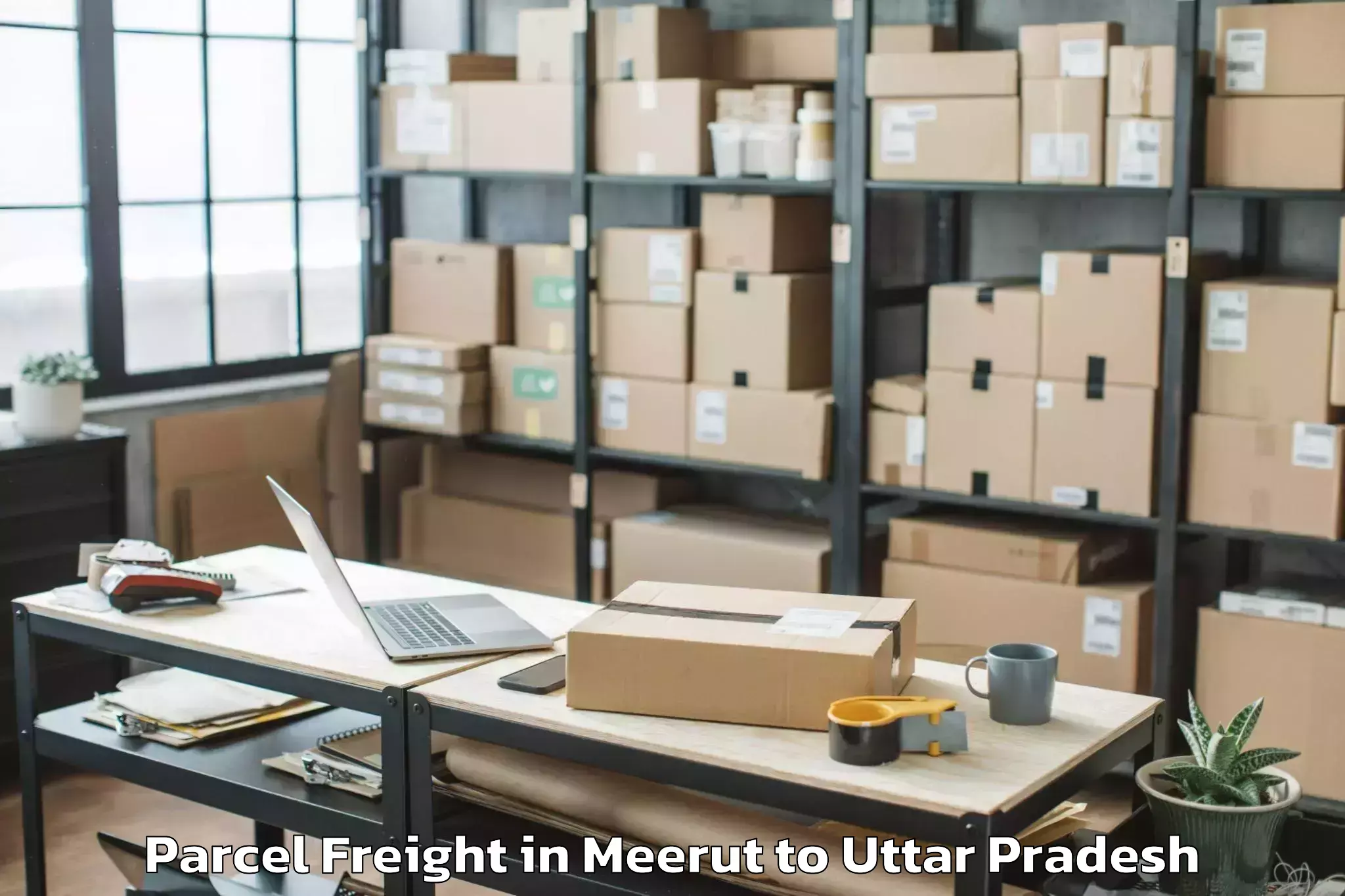 Top Meerut to Jananayak Chandrashekhar Unive Parcel Freight Available